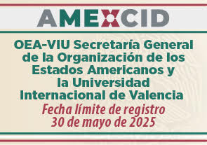 Beca para Maestrías de la Secretaría General de la Organización de los Estados Americanos y la Universidad Internacional de Valencia, AMEXCID